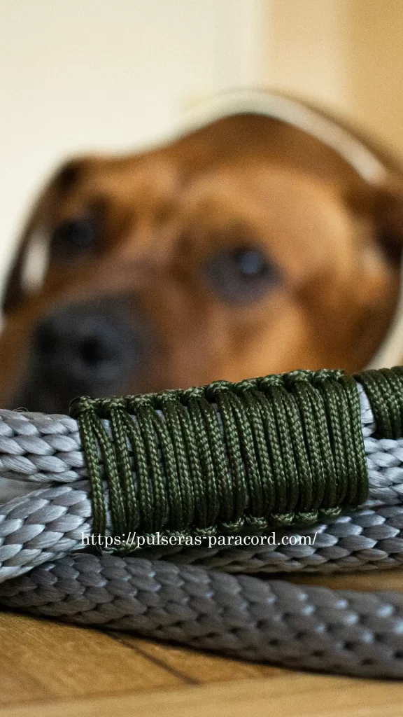 DIY Cuerda para perro con paracord, nudos únicos